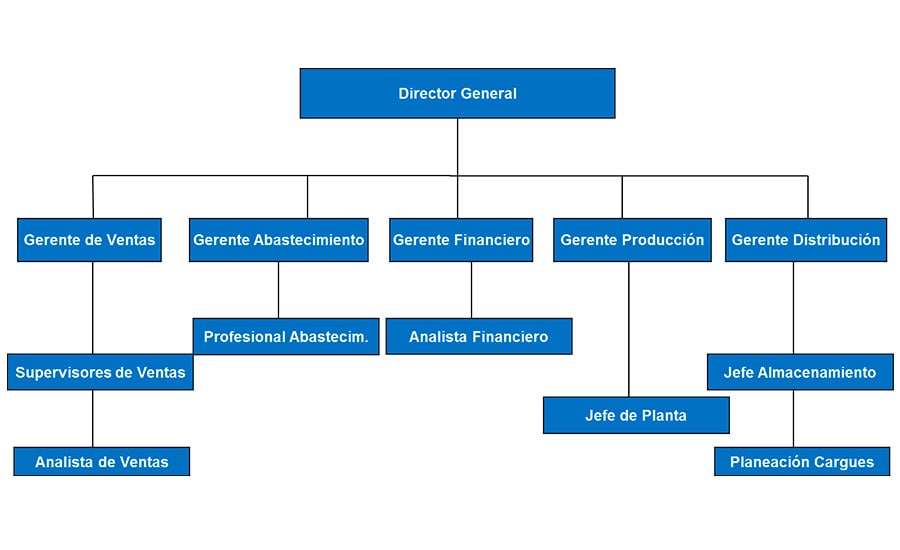 Organigramas de empresas Ejemplo 5